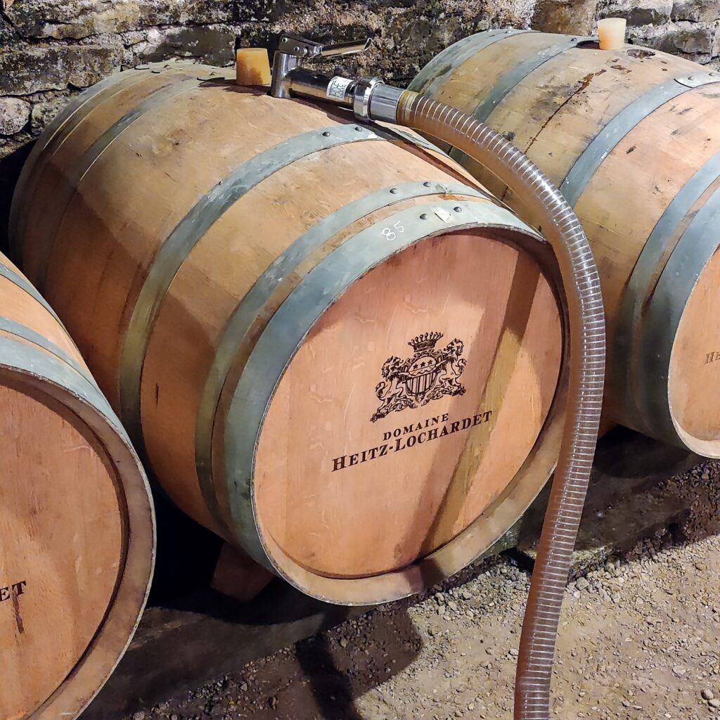 Oak barrel in Armand Haitz's cellar