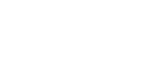 brutX500x200